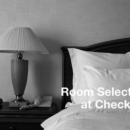 Hotel Maxim Božava 部屋 写真